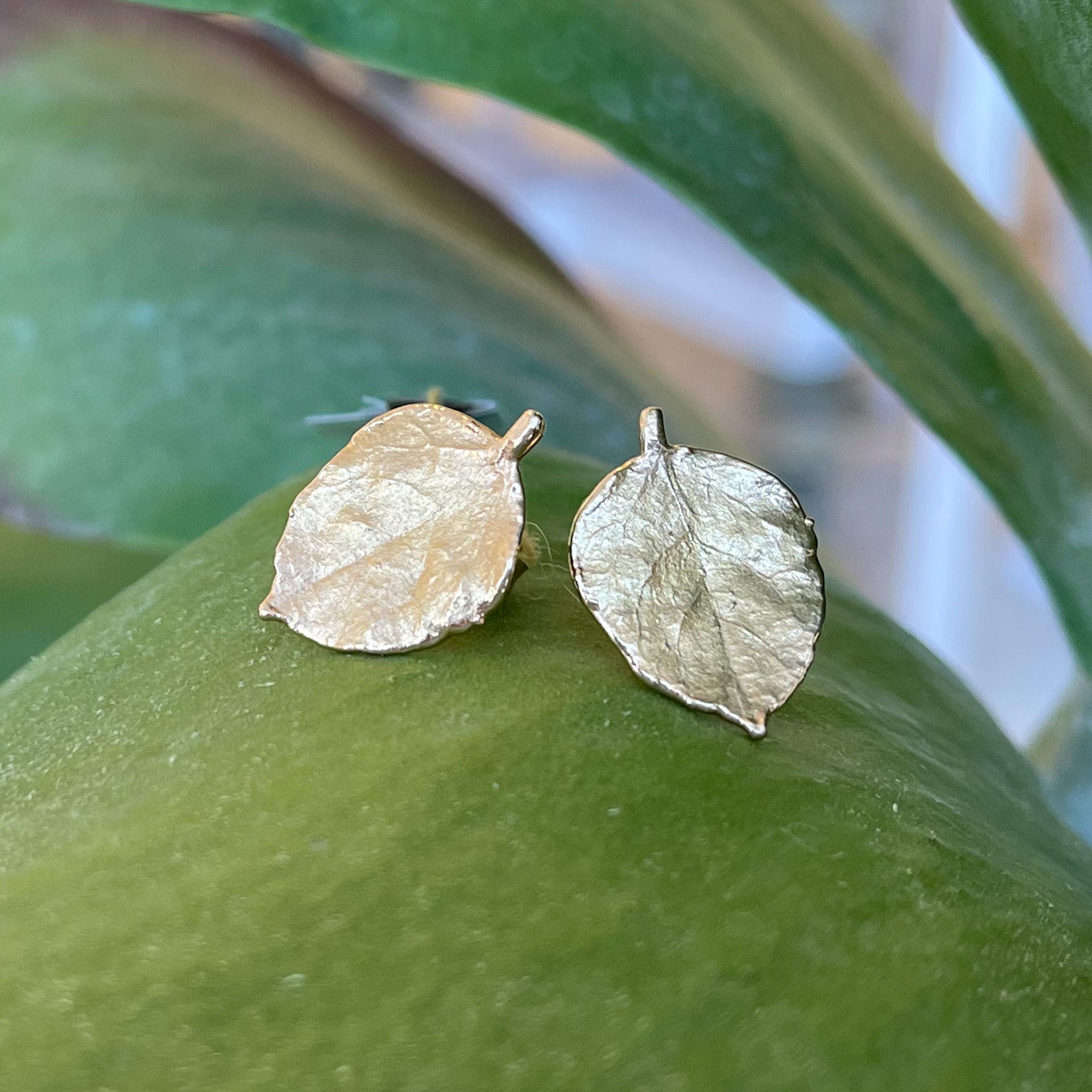 Gold aspen sale leaf earrings